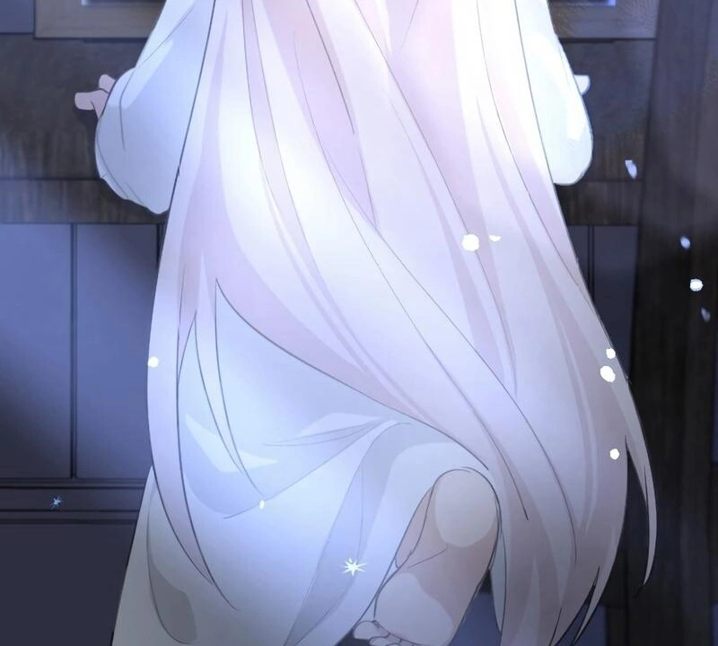 67008462 800 720 59162