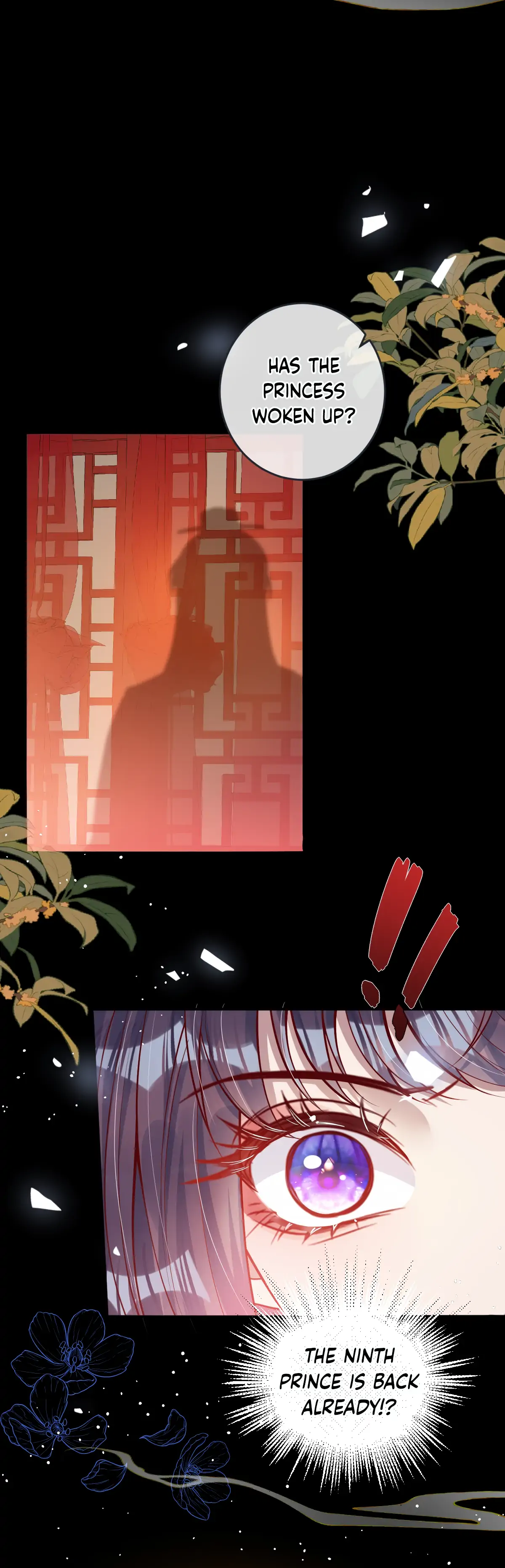 88967523 1200 3725 185372